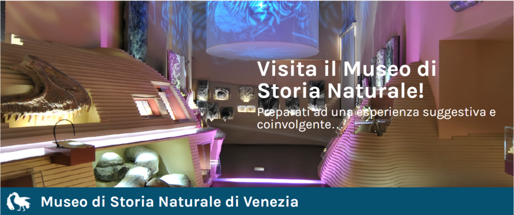 : museo storia naturale 