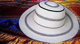 sombrero pintado panama